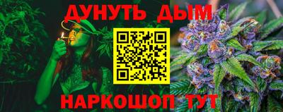 спиды Дубна