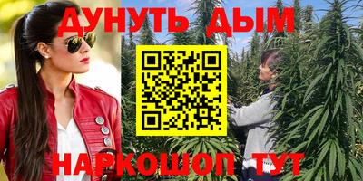 спиды Дубна