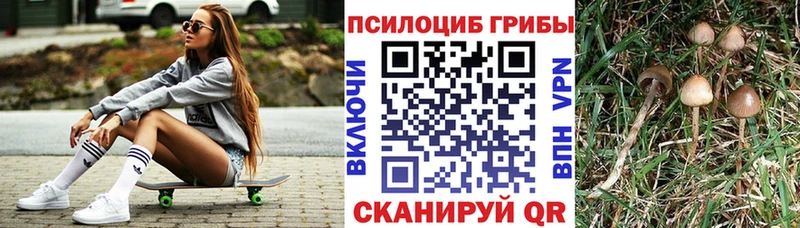 Галлюциногенные грибы Cubensis  Феодосия 