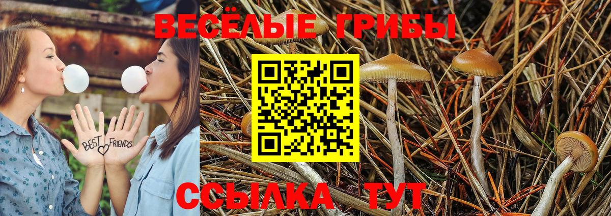 Псилоцибиновые грибы Psilocybe  Вход с VPN  где продают   Феодосия 